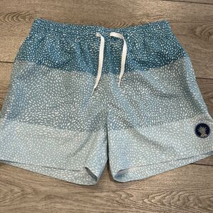 Chubbies The Whale Sharks Mens Medium 5.5" Swim Trunks Shorts Colorful Beach